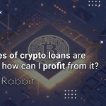 What types of crypto loans are there and how can I profit from it?