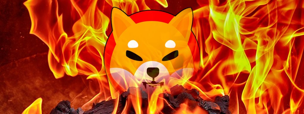 Shiba inu burning