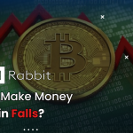 How to Make Money if Bitcoin Falls?