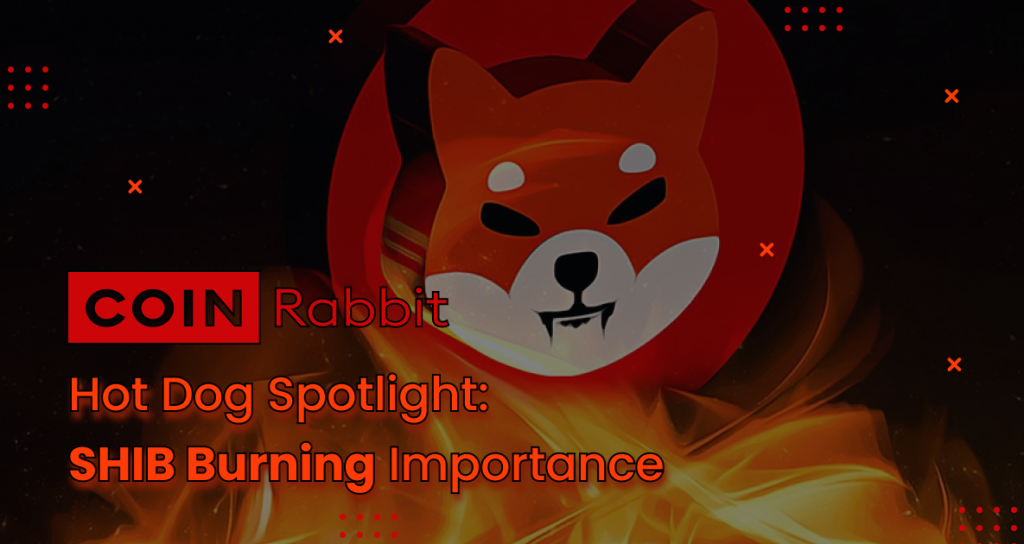 Hot Dog Spotlight: Shiba Inu Burning Importance