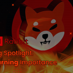 Hot Dog Spotlight: Shiba Inu Burning Importance