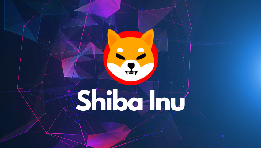 Shiba Inu coin (SHIB)