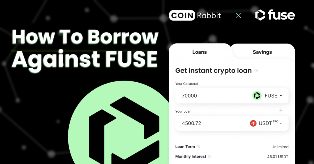 fuse network loan