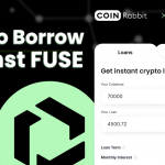 fuse network loan