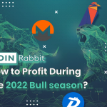 How to Profit During ​​the 2022 Bull season?