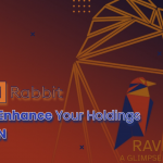 How To Amplify Your Holdings with Ravencoin Loans?