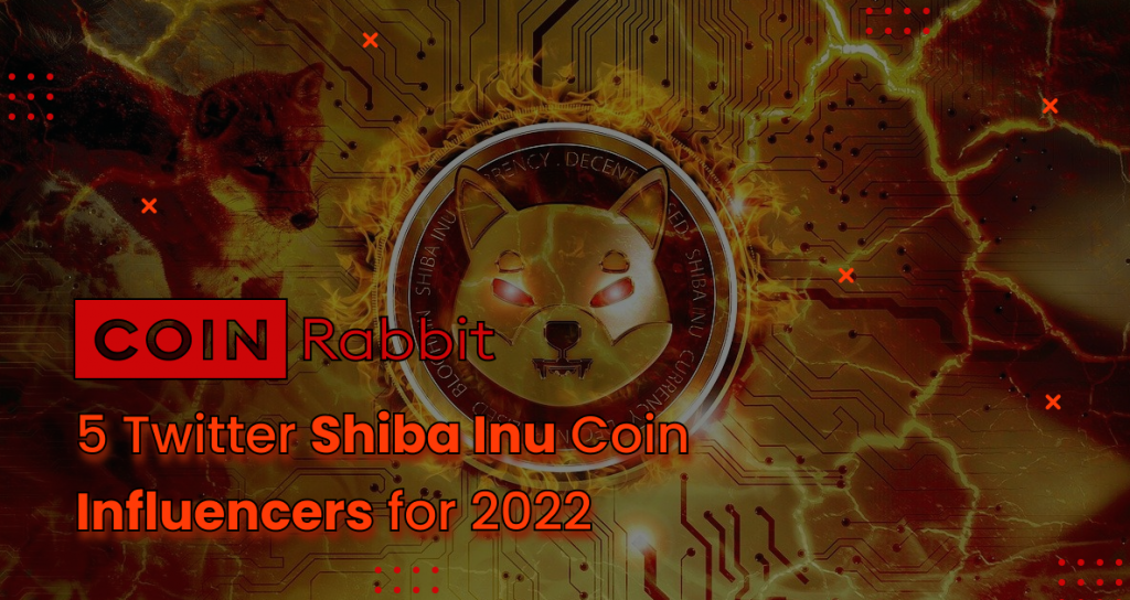 Top 5 Shiba Inu Coin Influencers 2024