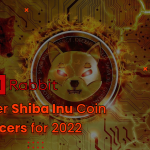 Top 5 Shiba Inu Coin Influencers 2024