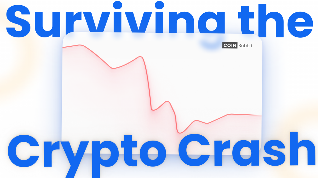 Surviving the Crypto Crash: How to take advantage of the crisis