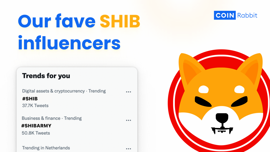 Best Shiba Inu Influencers to Follow in 2023