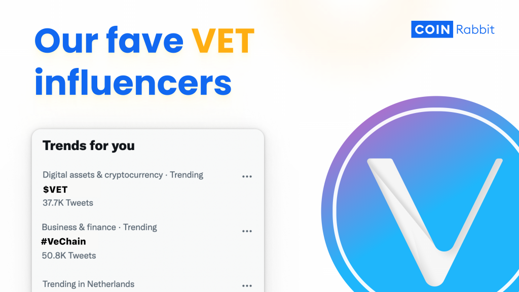 Top 7 VeChain Influencers