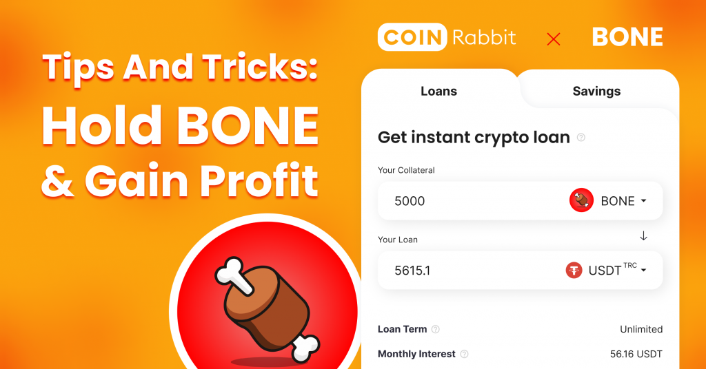 BONE Crypto loans – All You Need to Know