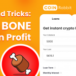 BONE Crypto loans – All You Need to Know