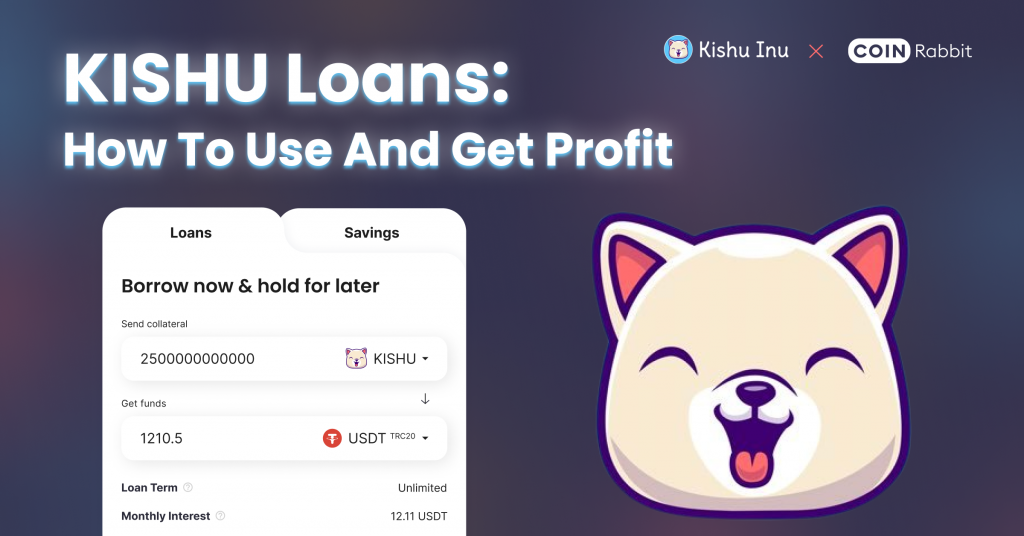 Kishu Inu coin loans