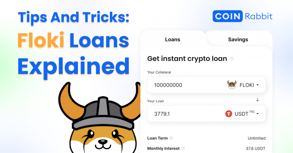 Floki Inu Crypto Loan