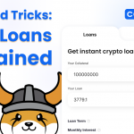 Floki Inu Crypto Loan