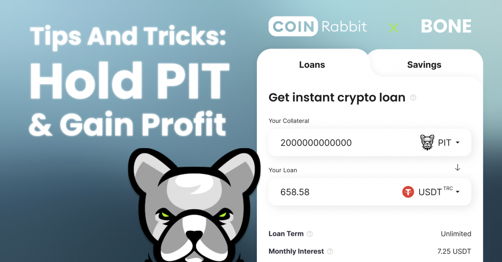 Pitbull crypto loan