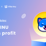 Vinu coin