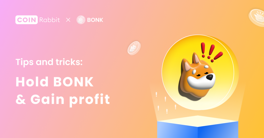 Bonk coin