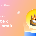 Bonk coin