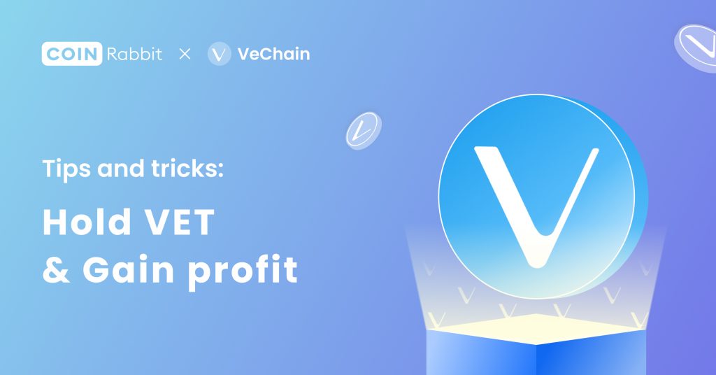 What is $VET crypto and How to use it to Gain Profit?(2023 UPDATE)