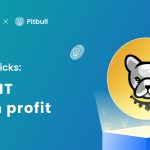 What is $PIT crypto and How to use it to Gain Profit?(2023 UPDATE)