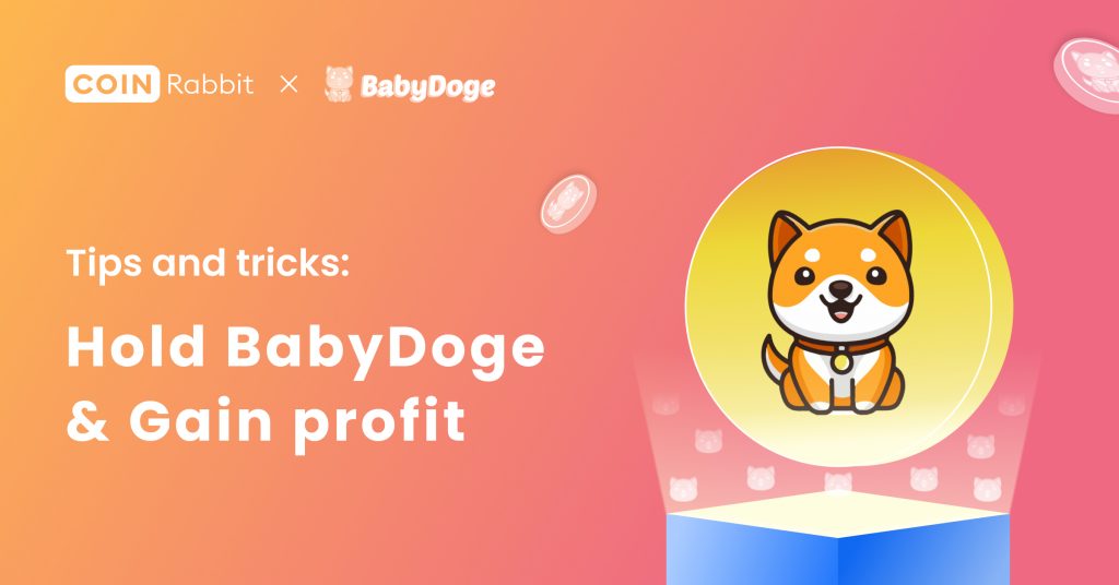 What is $BabyDoge crypto and How to use it to Gain Profit? (2023 UPDATE)