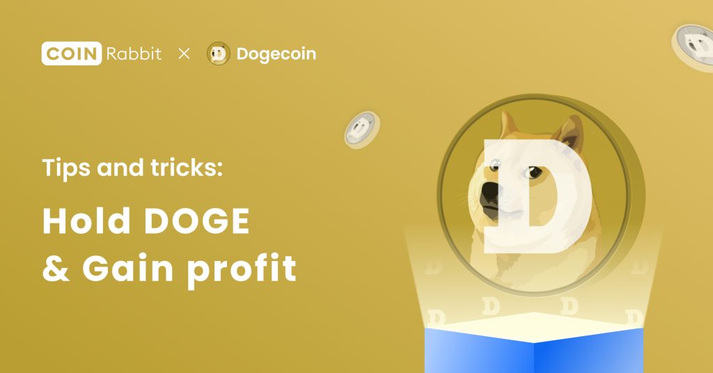 What is $DOGE crypto and How to use it to Gain Profit?(2023 UPDATE)