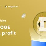 What is $DOGE crypto and How to use it to Gain Profit?(2023 UPDATE)