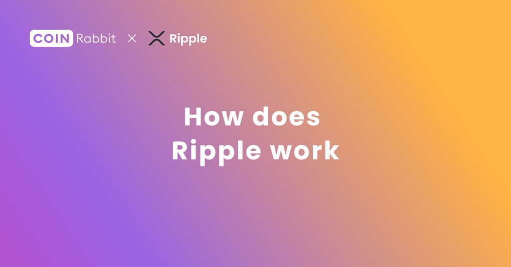 How does Ripple work