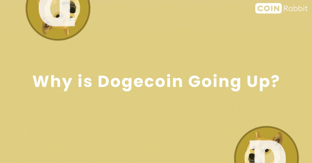 why is dogecoin going up
