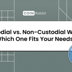Custodial vs Non Custodial Wallet
