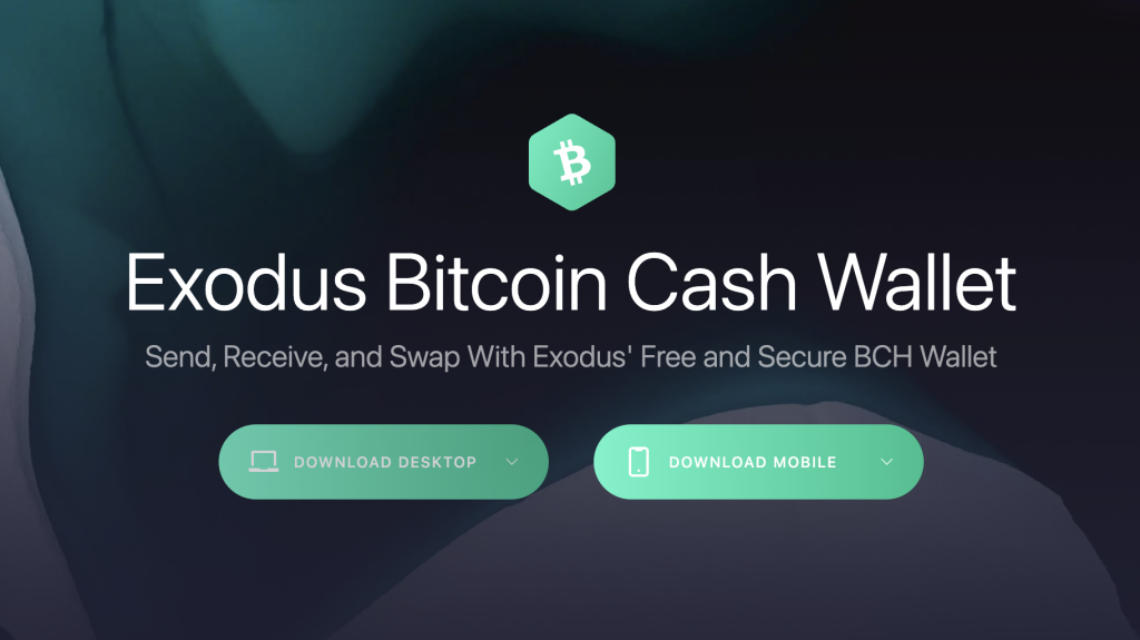 bitcoin cash wallet