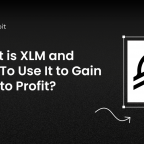 what is xlm